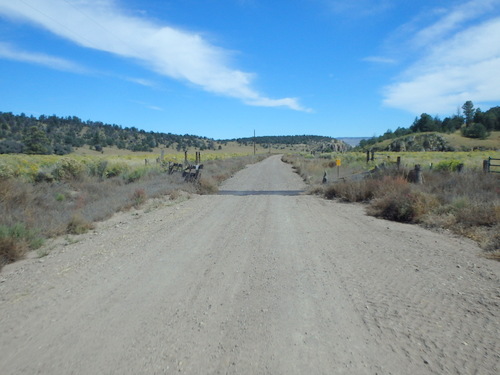 GDMBR: This is the Gila NF Boundary and Gateway.